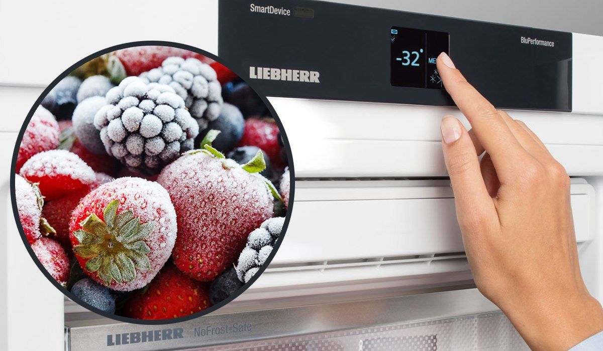 How to choose a freezer | Price comparison e-Catalog